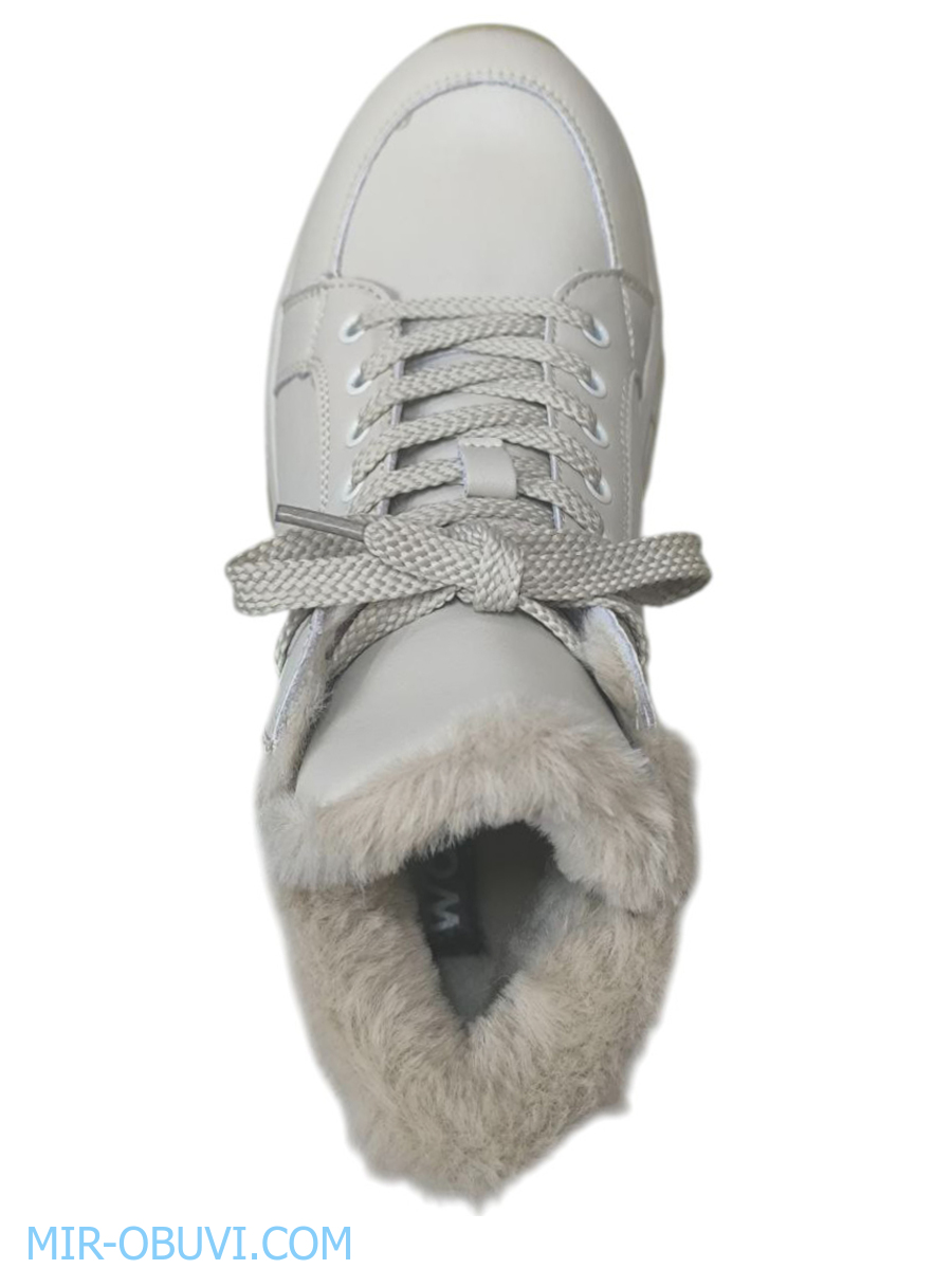 Ƴ���� ����� ��������� �������� Wollen. ��� 6.