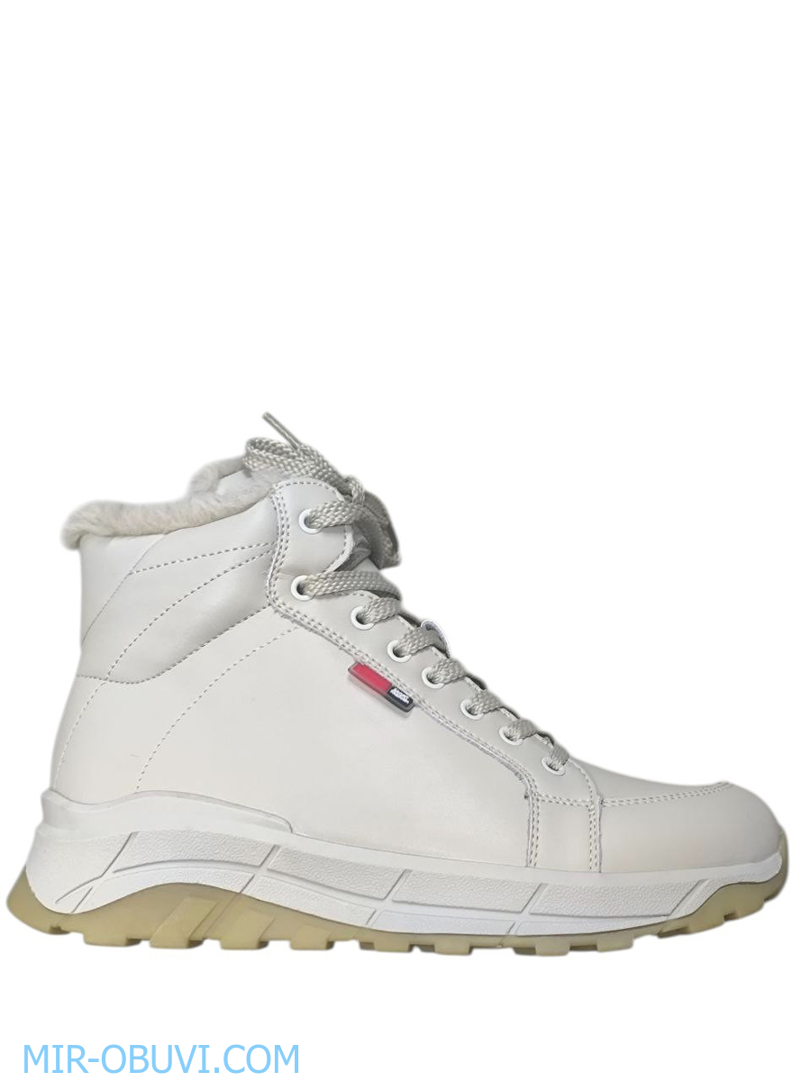 Ƴ���� ����� ��������� �������� Wollen. ��� 7.