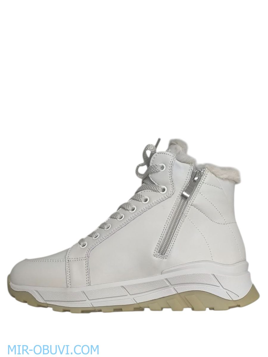 Ƴ���� ����� ��������� �������� Wollen. ��� 8.