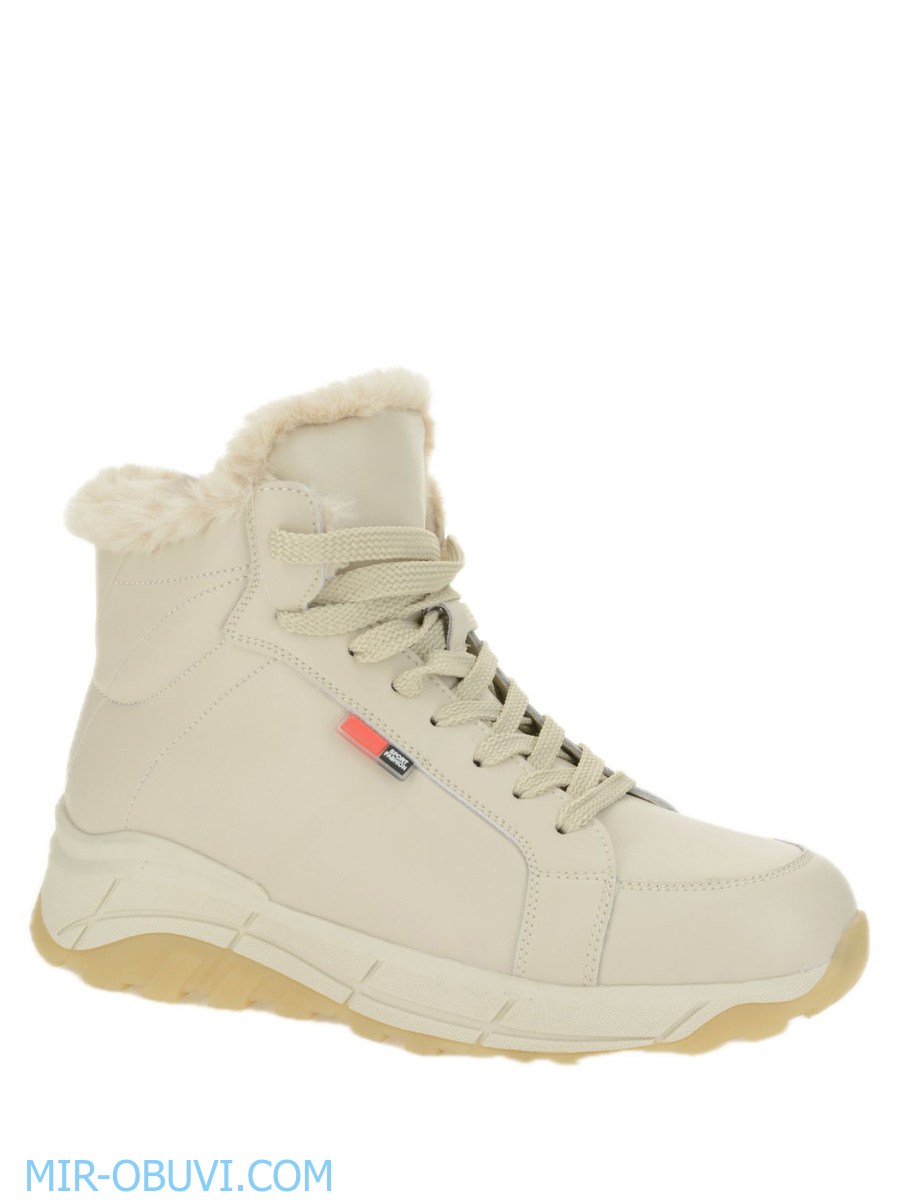 Ƴ���� ����� ��������� �������� Wollen. ��� 1.