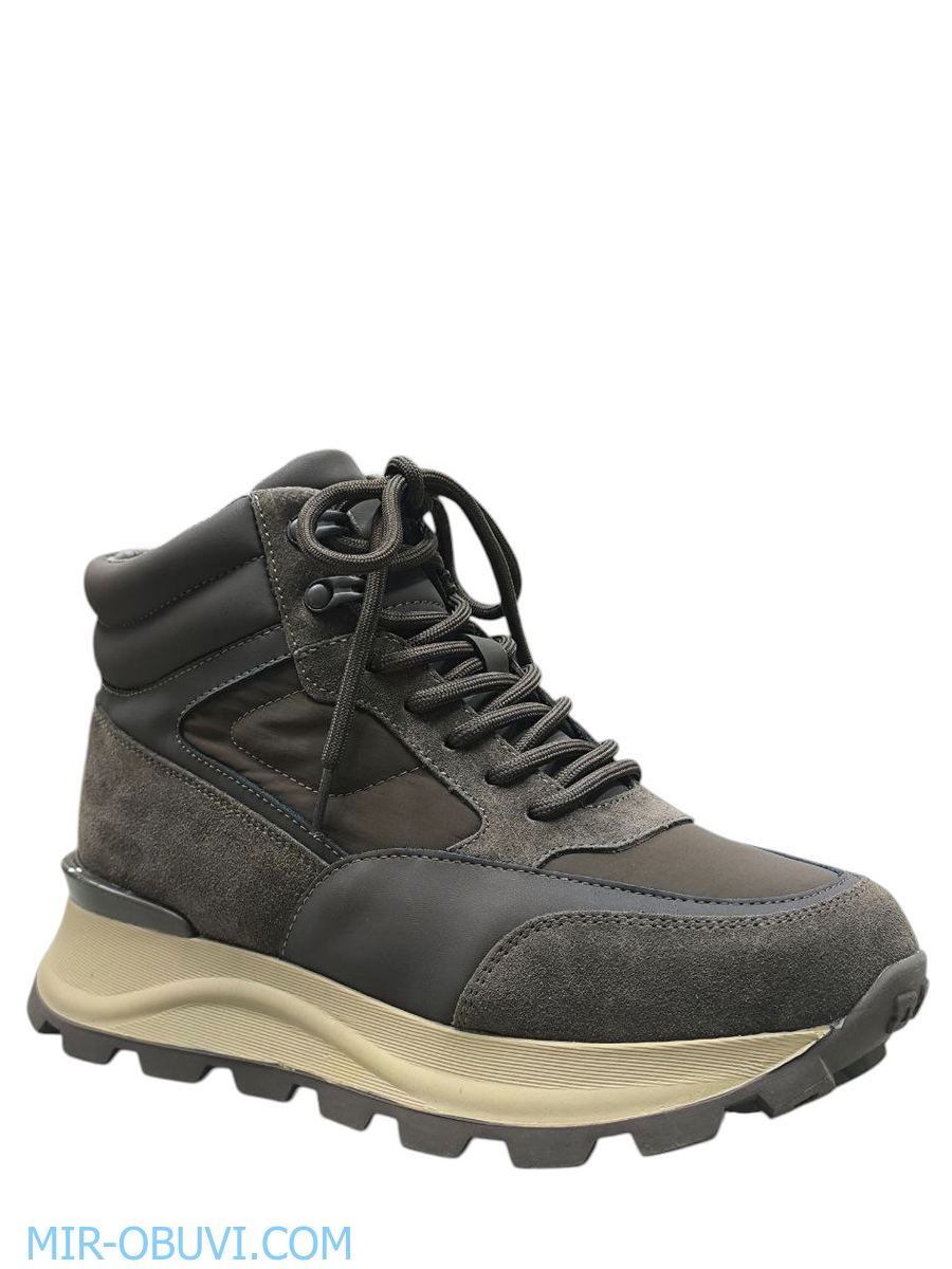 Ƴ���� ����� ��������� �������� Wollen. ��� 11.