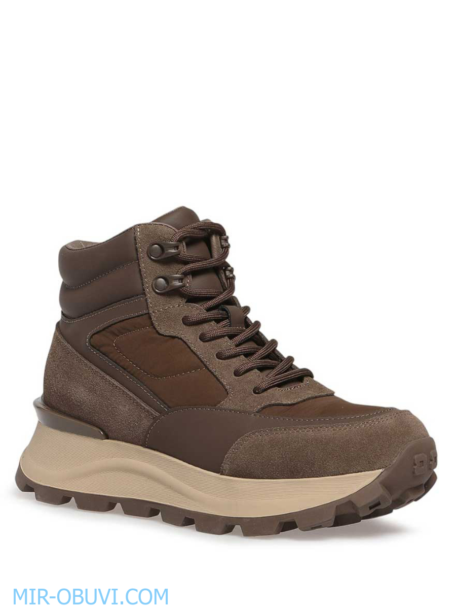 Ƴ���� ����� ��������� �������� Wollen. ��� 1.