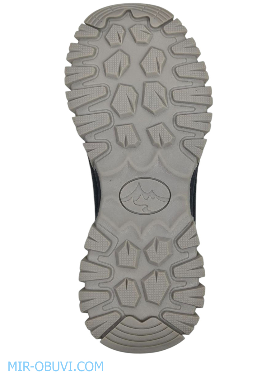 Ƴ���� ����� ��������� �������� Grunberg. ��� 5.