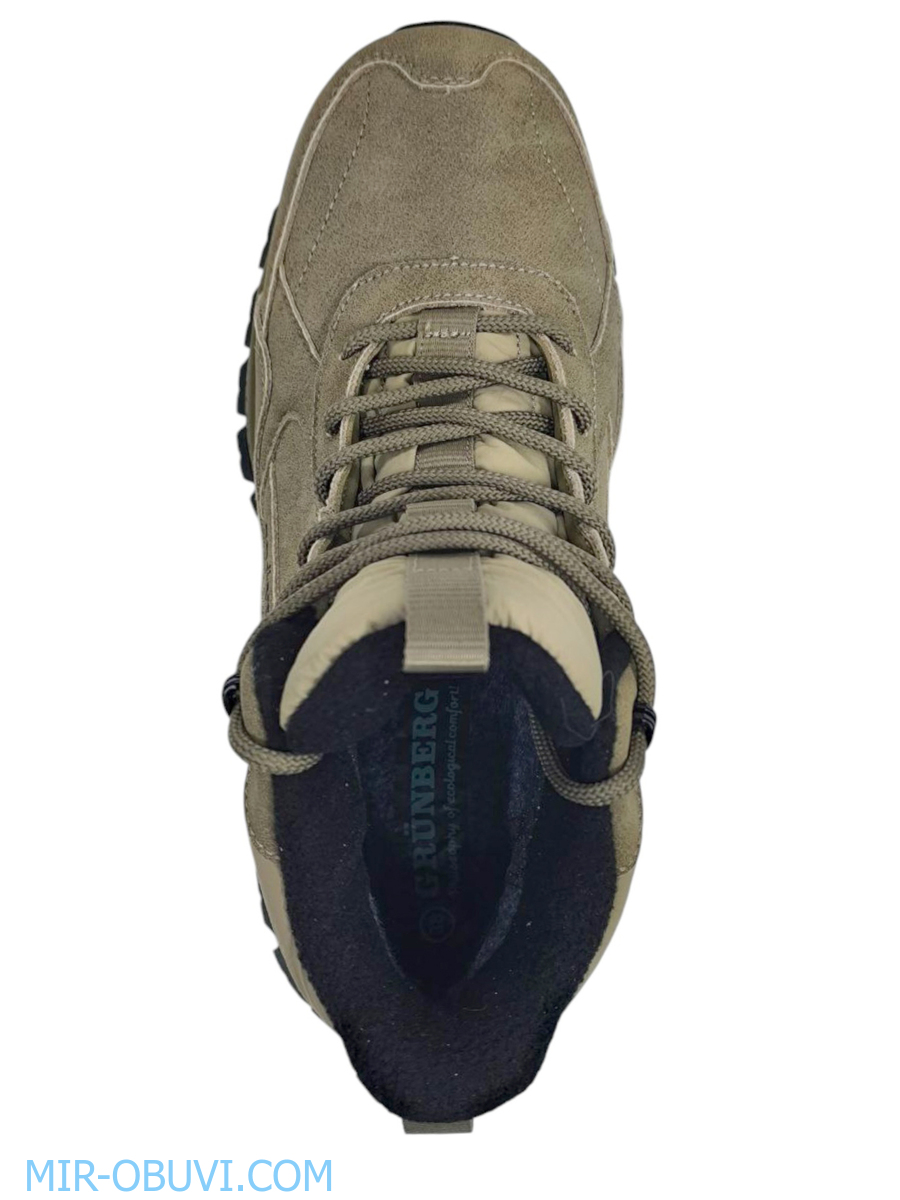 Ƴ���� ����� ��������� �������� Grunberg. ��� 6.