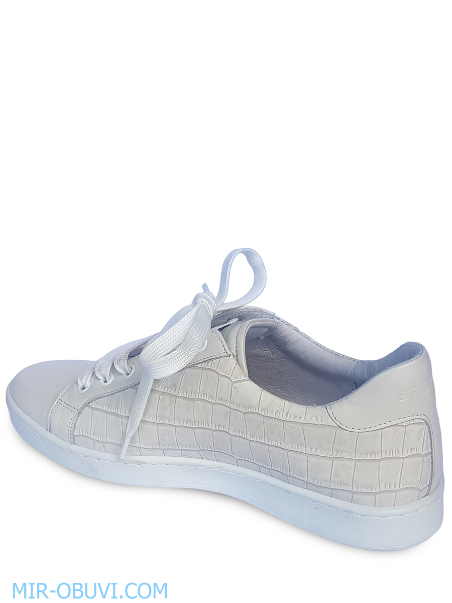 Ƴ���� ���������� ���� Stepter. ��� 11.