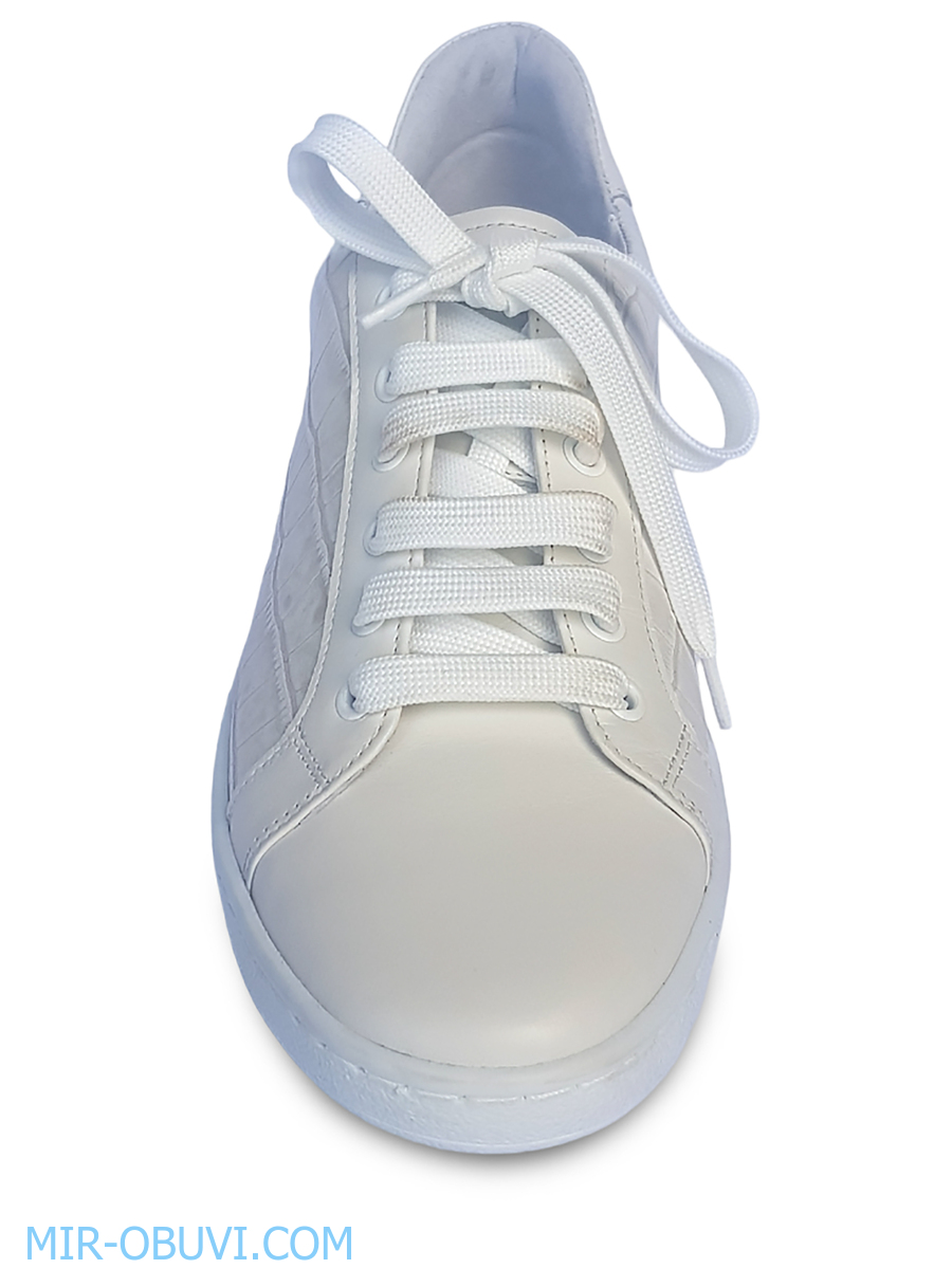 Ƴ���� ���������� ���� Stepter. ��� 9.