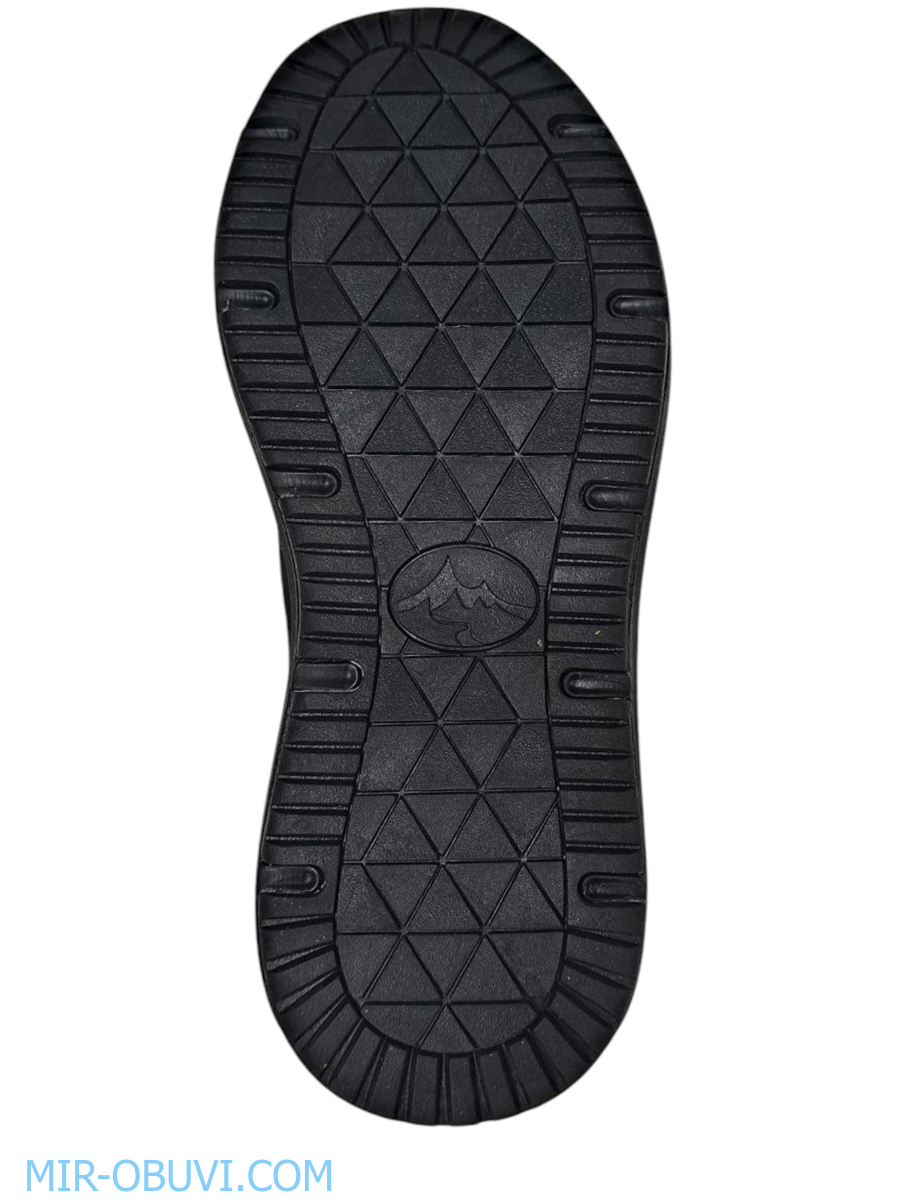 Ƴ���� ���������� ������� Grunberg. ��� 5.