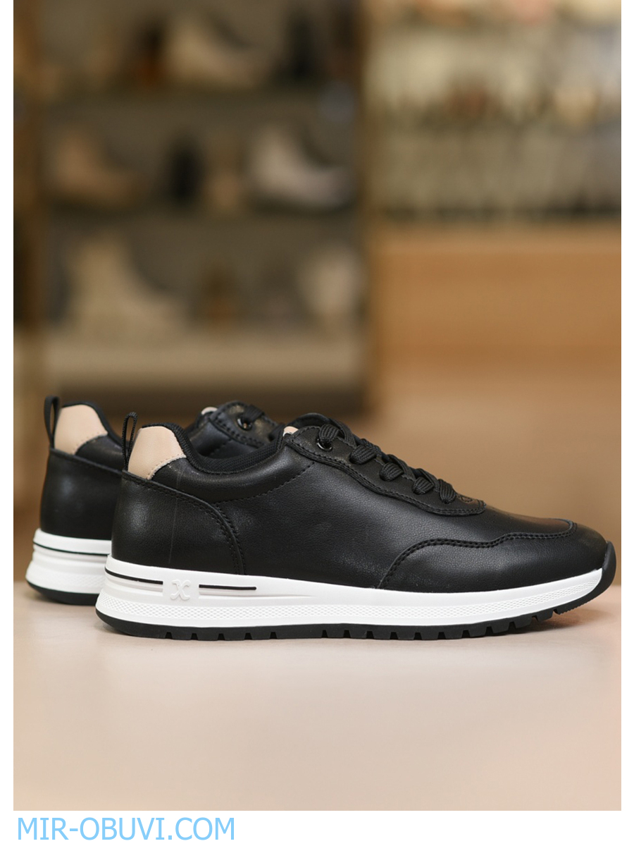 Ƴ���� ���������� ������� Wollen. ��� 21.