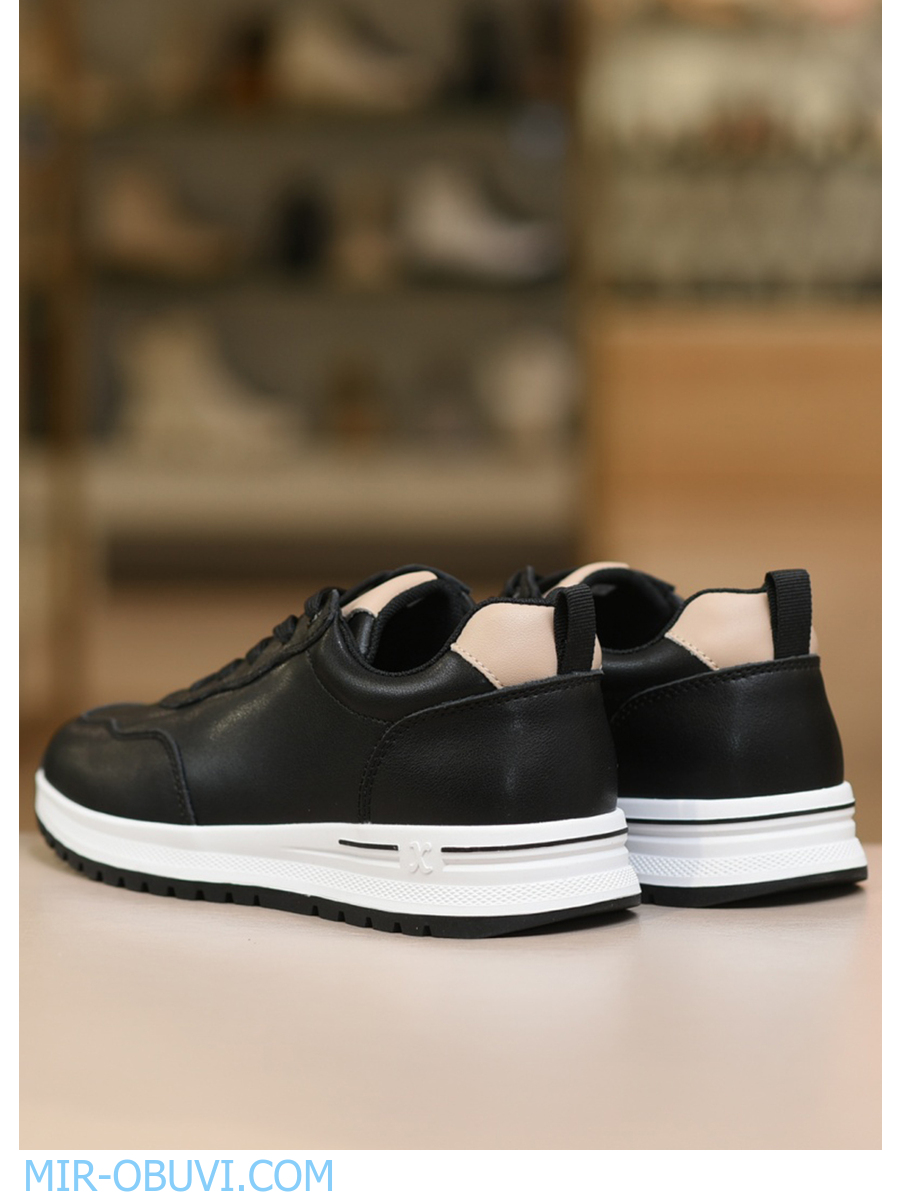 Ƴ���� ���������� ������� Wollen. ��� 23.