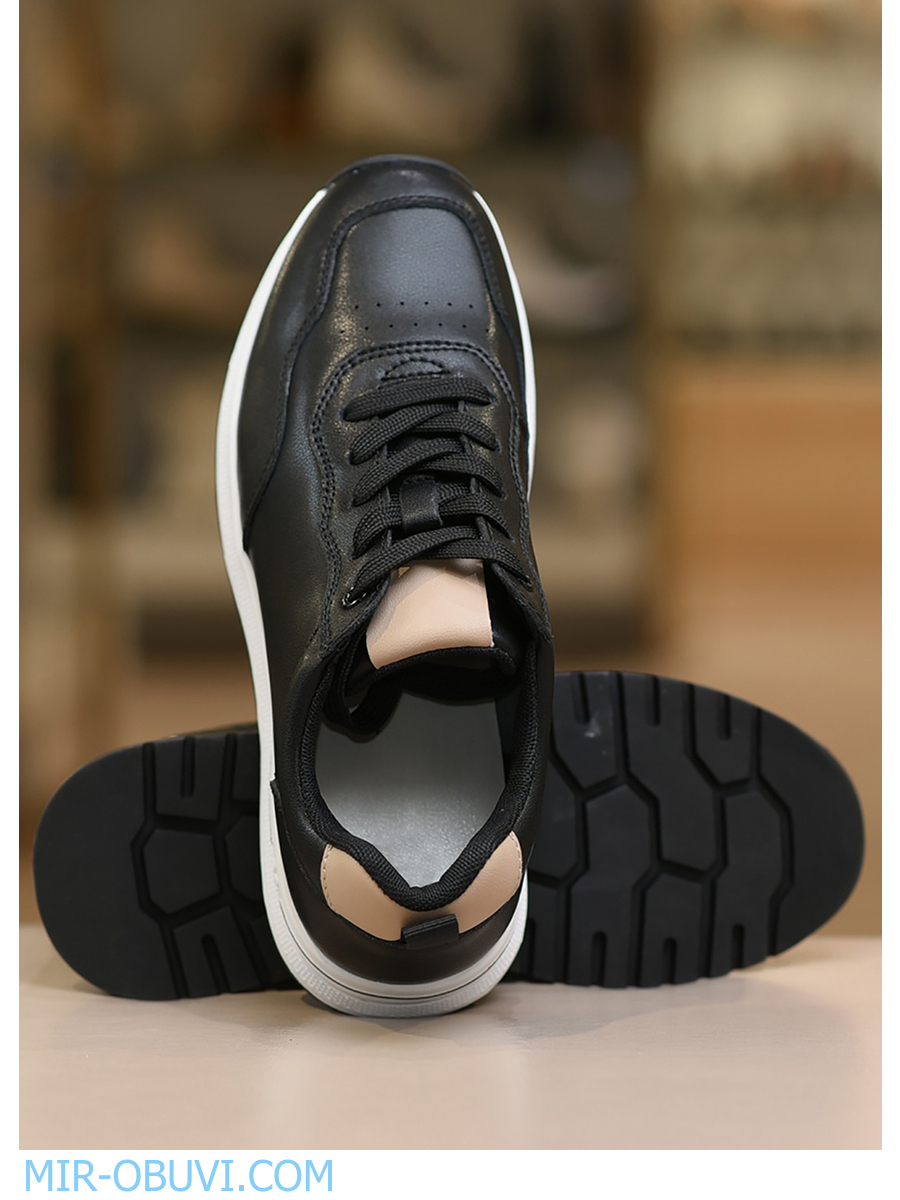 Ƴ���� ���������� ������� Wollen. ��� 26.