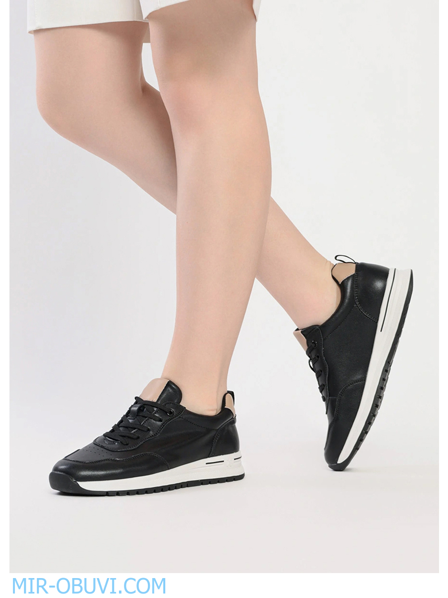 Ƴ���� ���������� ������� Wollen. ��� 36.