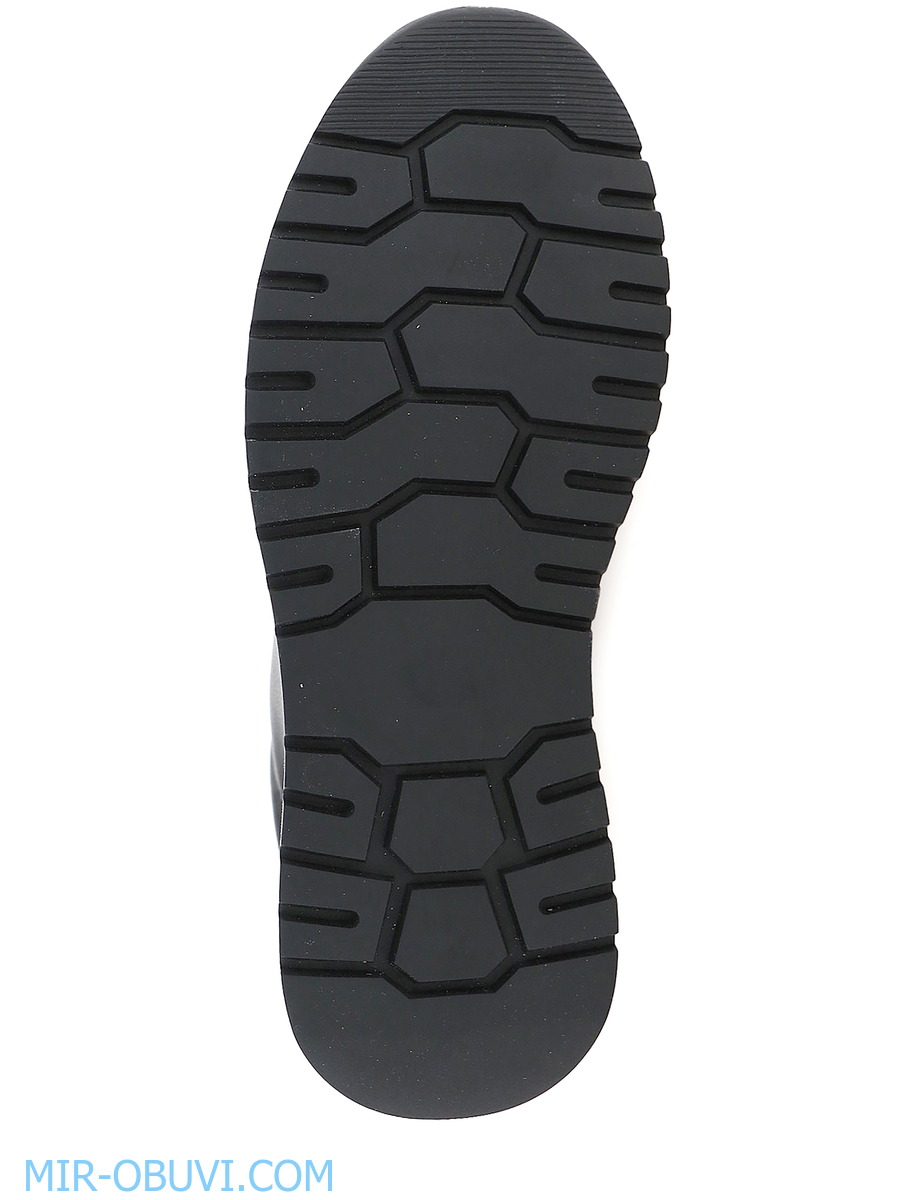 Ƴ���� ���������� ������� Wollen. ��� 5.