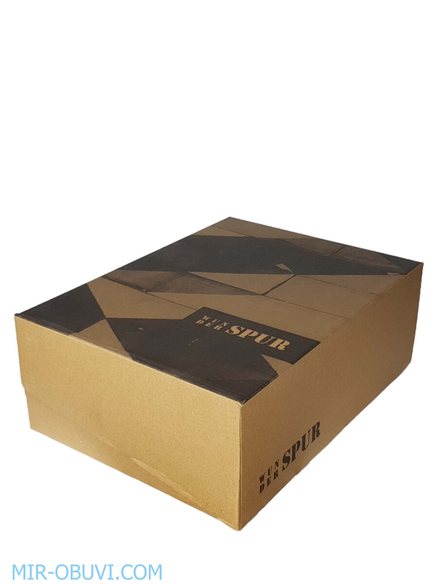 Ƴ���� ���������� ������� Spur. ��� 16.