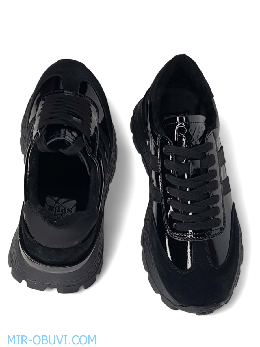 Ƴ���� ���������� ������� Spur. ��� 14.