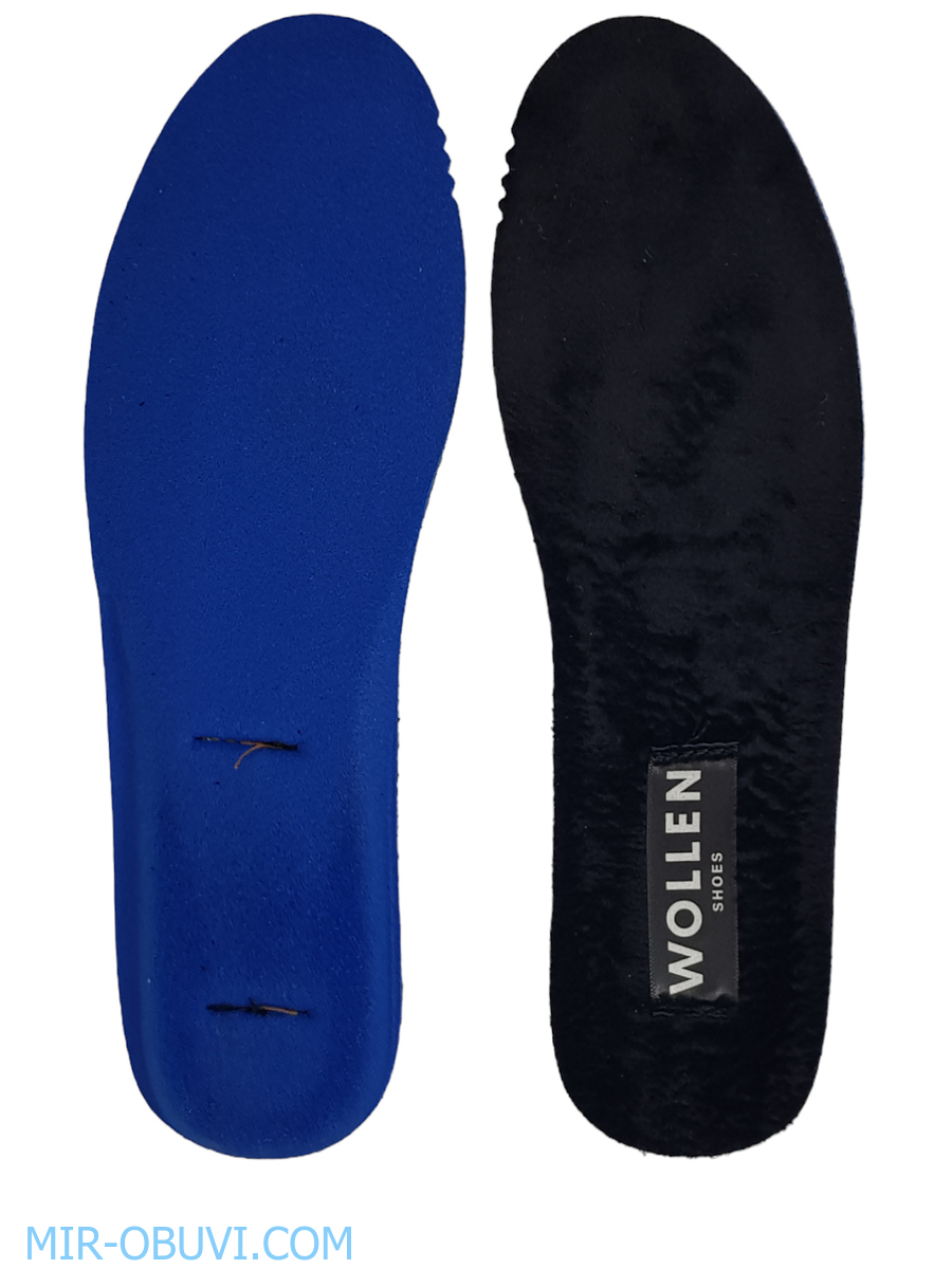 Ƴ���� ���������� ������� Wollen. ��� 16.