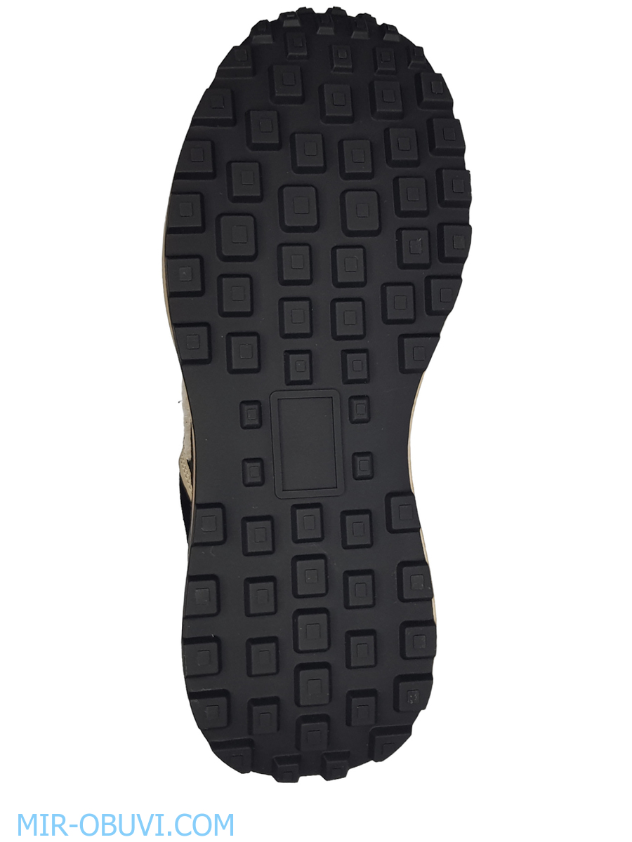 Ƴ���� ���������� ������� Wollen. ��� 5.