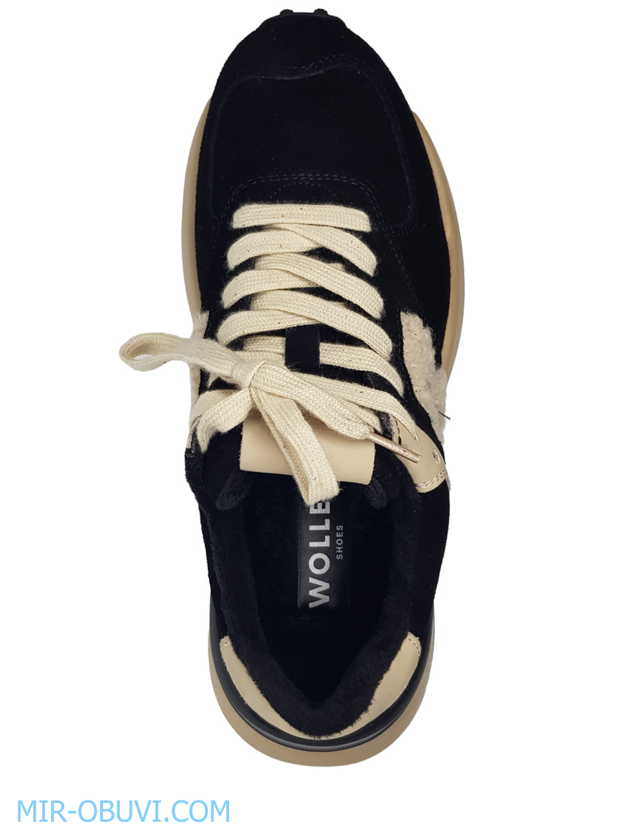 Ƴ���� ���������� ������� Wollen. ��� 6.