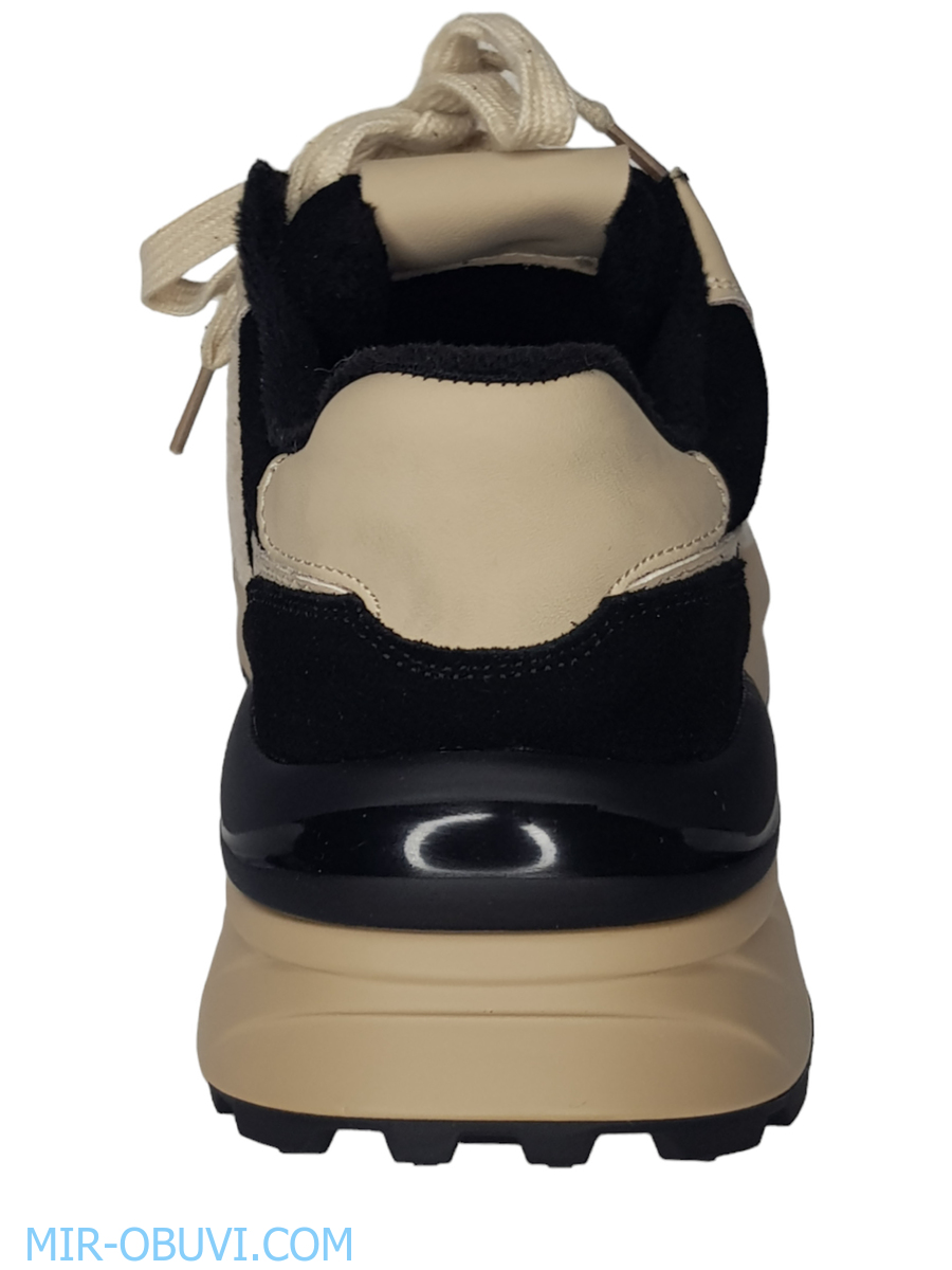 Ƴ���� ���������� ������� Wollen. ��� 10.