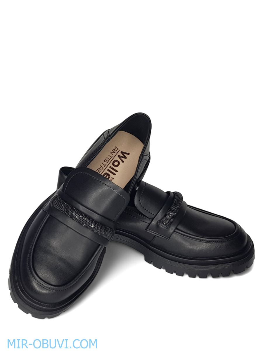 Ƴ���� ���������� ����������� ���� Wollen. ��� 13.