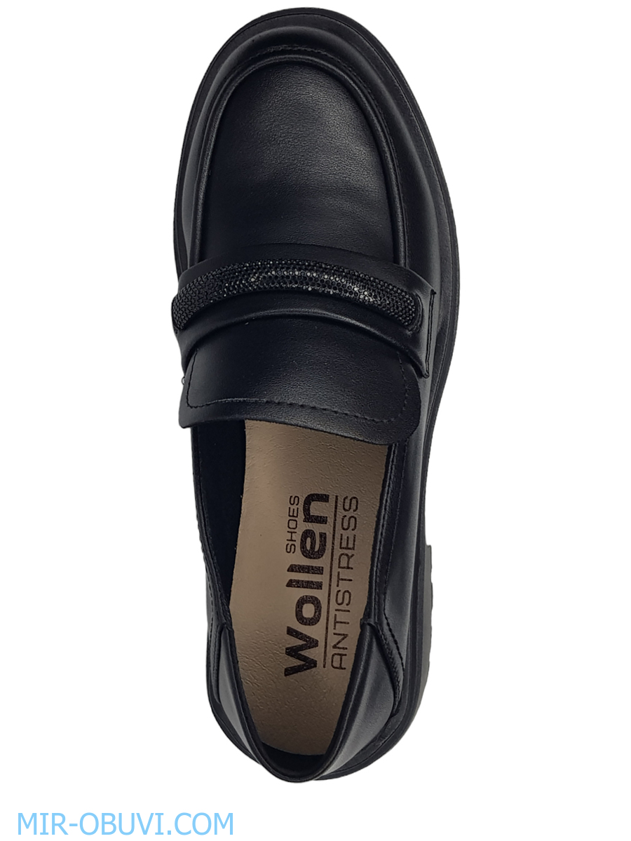 Ƴ���� ���������� ����������� ���� Wollen. ��� 6.