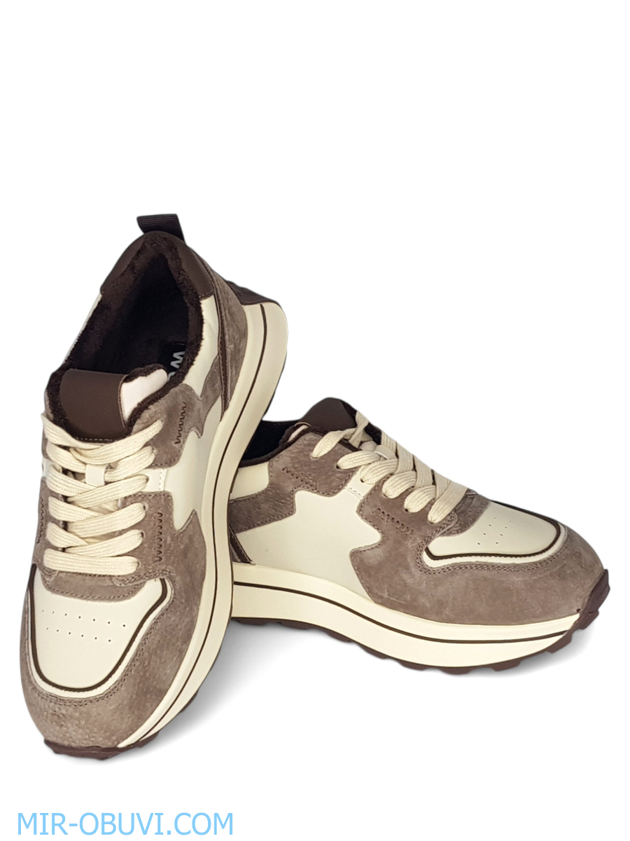 Ƴ���� ���������� ������� Wollen. ��� 13.