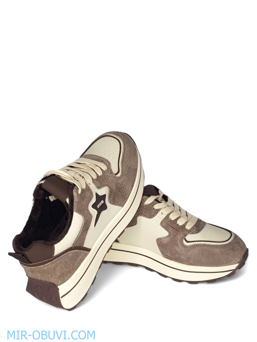 Ƴ���� ���������� ������� Wollen. ��� 14.