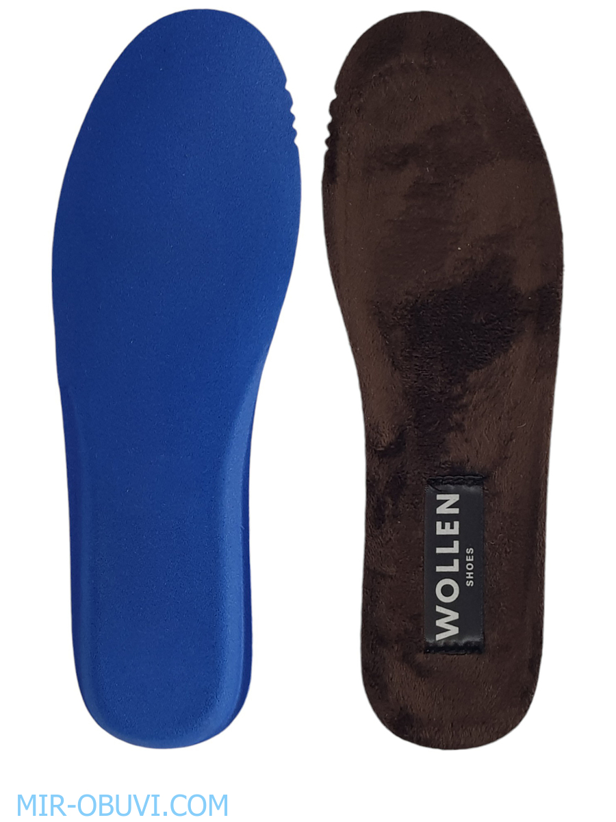 Ƴ���� ���������� ������� Wollen. ��� 16.