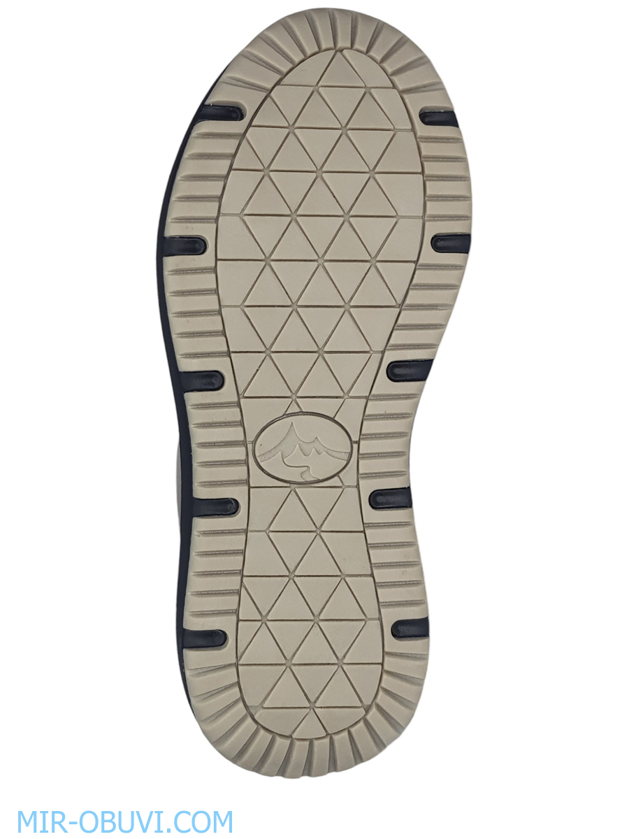 Ƴ���� ���������� ������� Grunberg. ��� 5.