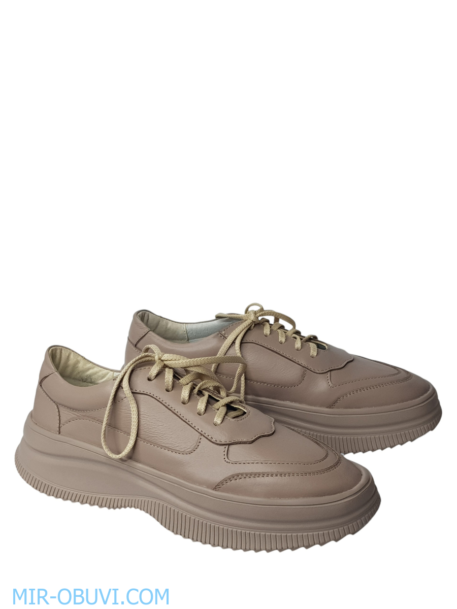 Ƴ���� ���������� ���� Larsena. ��� 2.