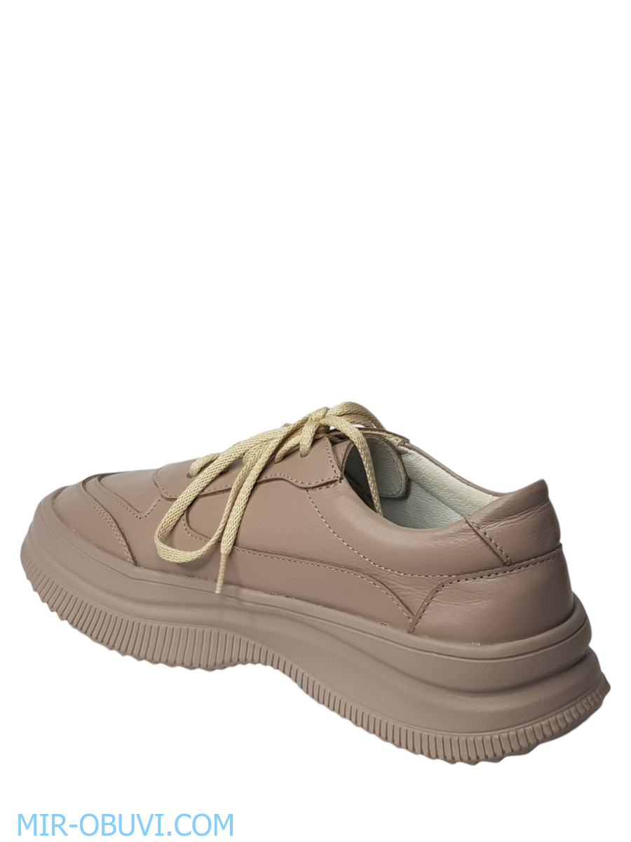 Ƴ���� ���������� ���� Larsena. ��� 5.