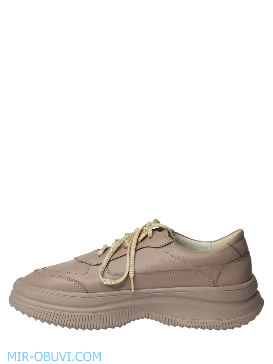 Ƴ���� ���������� ���� Larsena. ��� 6.