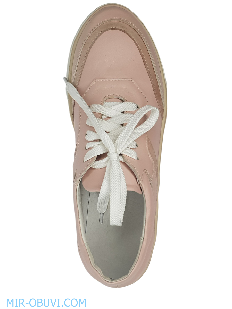 Ƴ���� ���������� ���� Larsena. ��� 4.