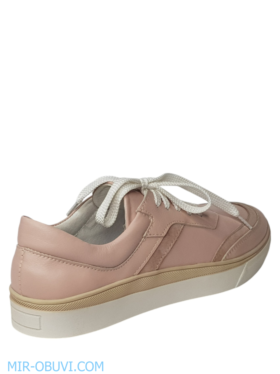 Ƴ���� ���������� ���� Larsena. ��� 6.