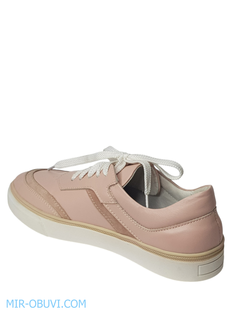 Ƴ���� ���������� ���� Larsena. ��� 7.