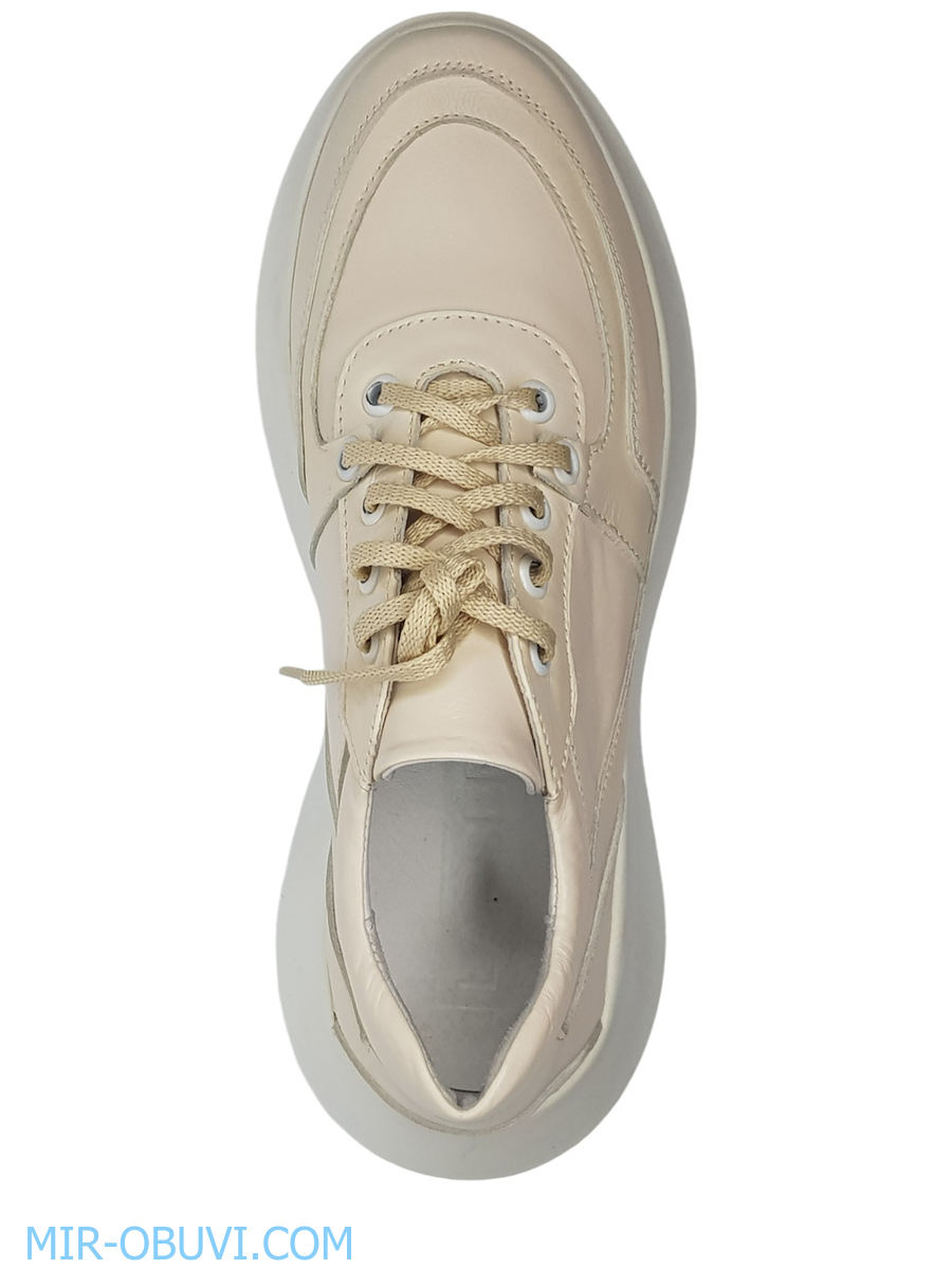 Ƴ���� ���������� ���� Larsena. ��� 4.