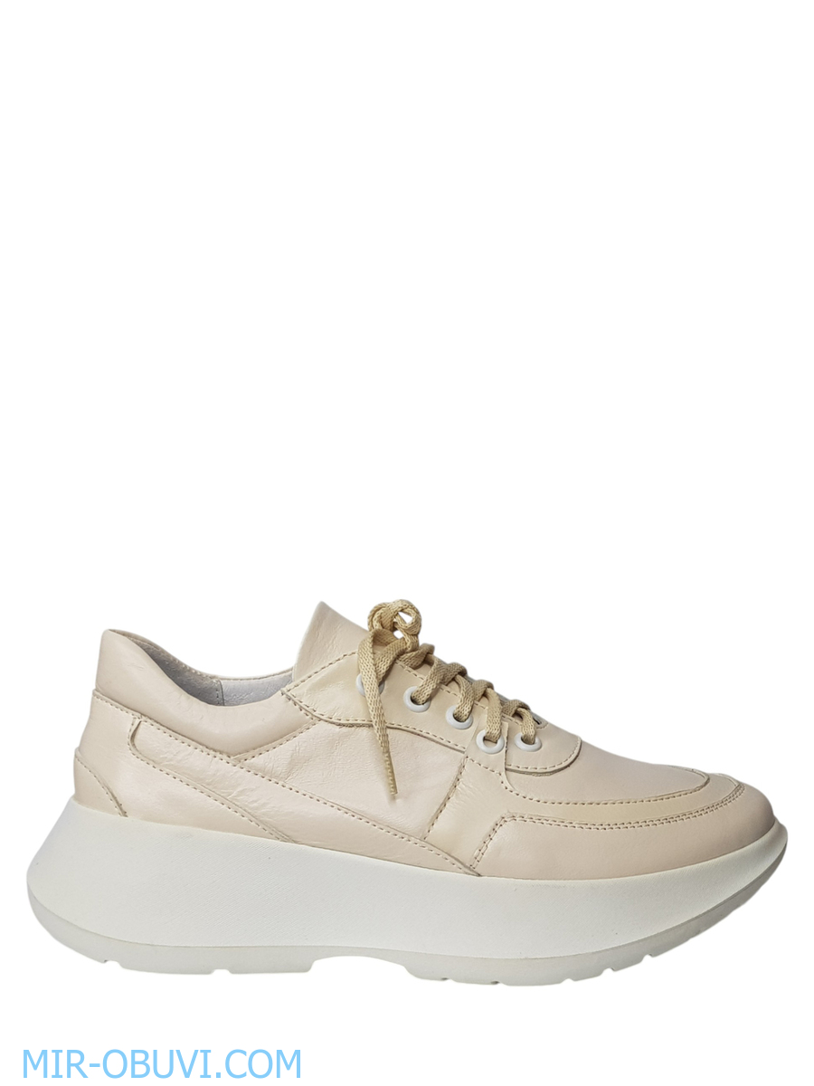 Ƴ���� ���������� ���� Larsena. ��� 5.