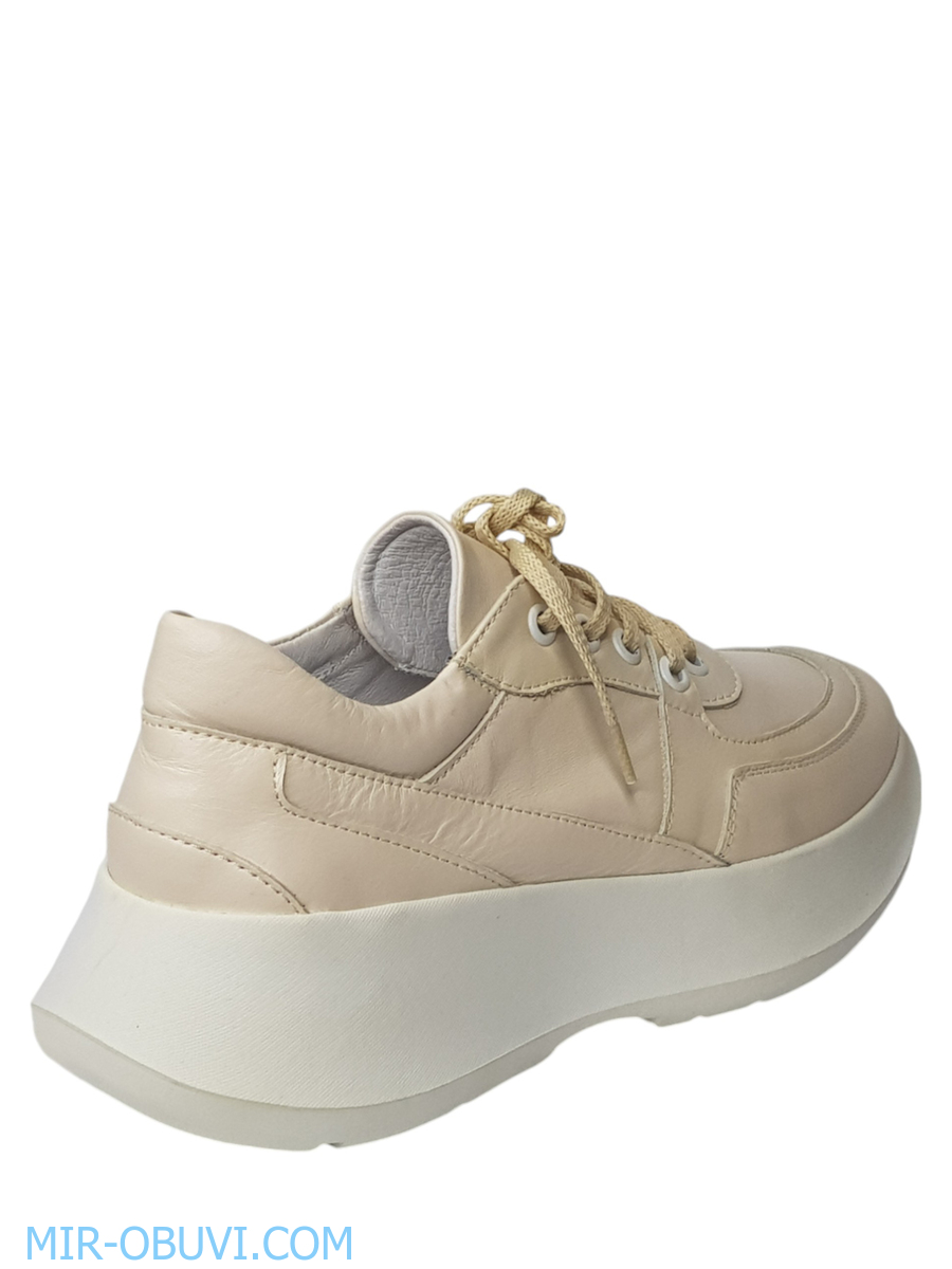 Ƴ���� ���������� ���� Larsena. ��� 6.