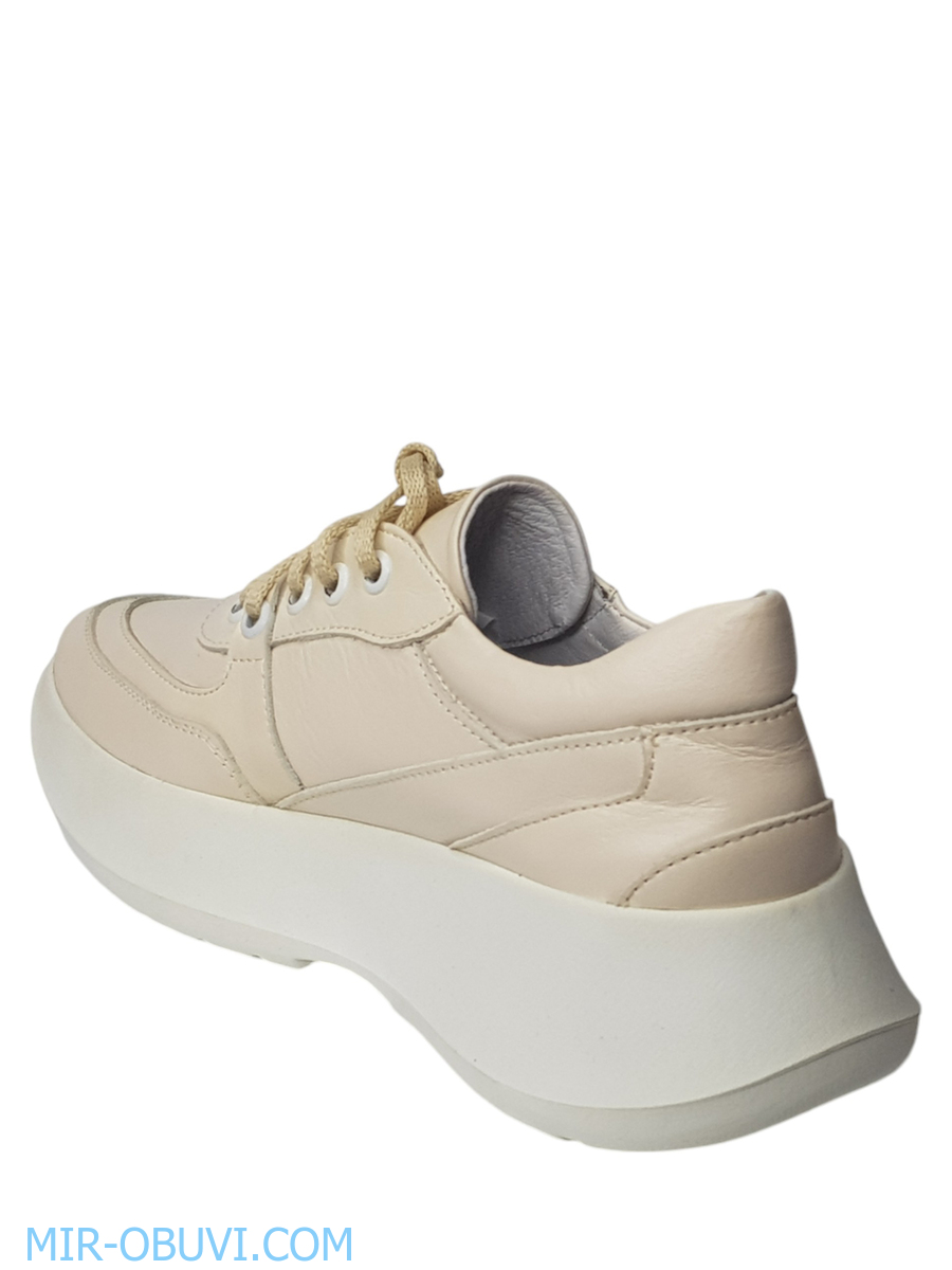 Ƴ���� ���������� ���� Larsena. ��� 7.