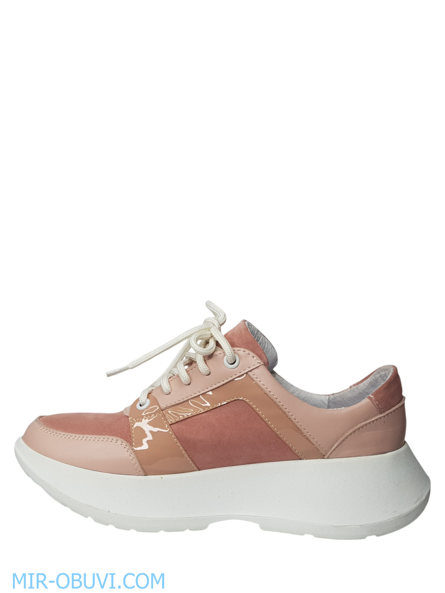 Ƴ���� ���������� ���� Larsena. ��� 2.