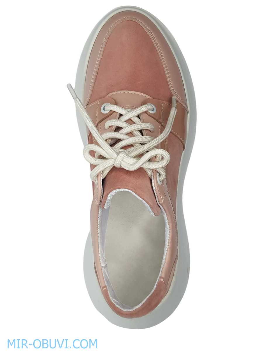 Ƴ���� ���������� ���� Larsena. ��� 4.