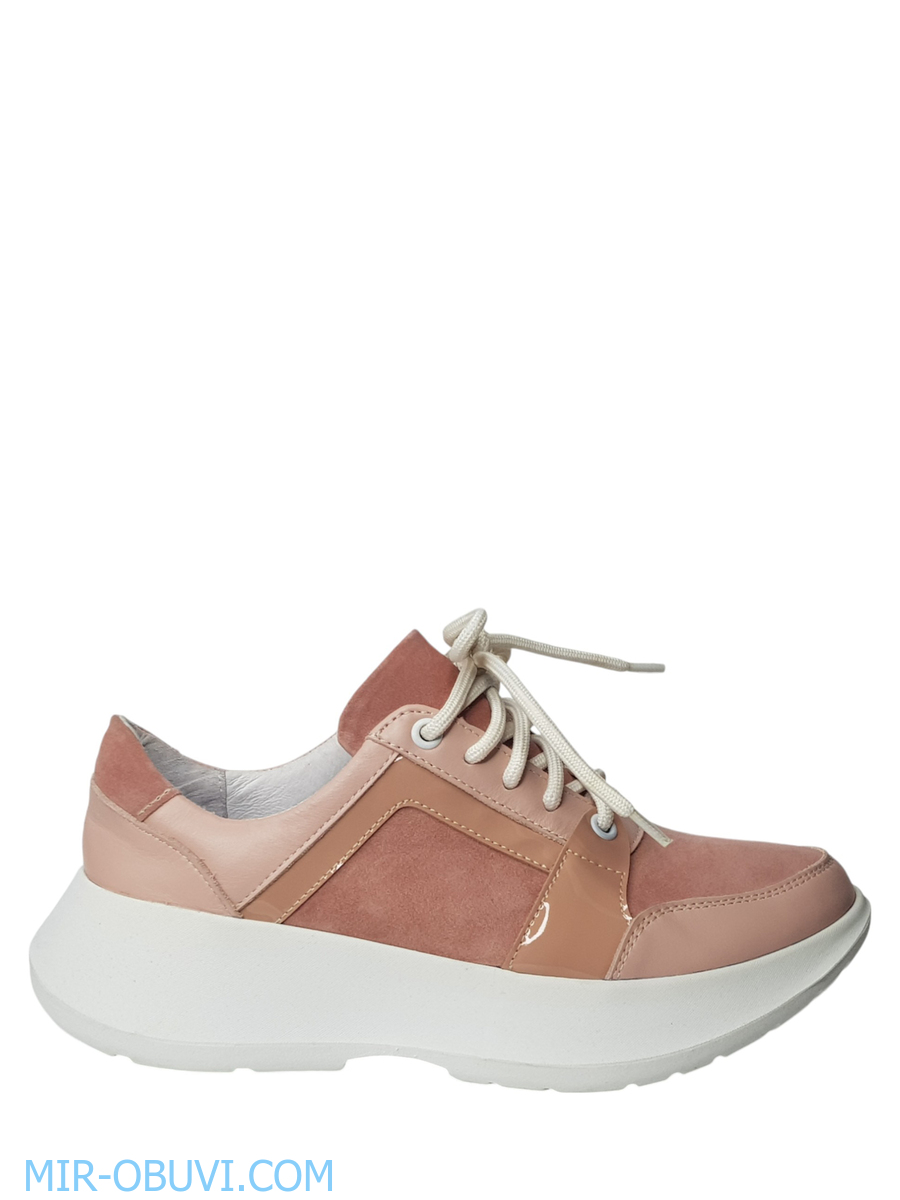 Ƴ���� ���������� ���� Larsena. ��� 5.