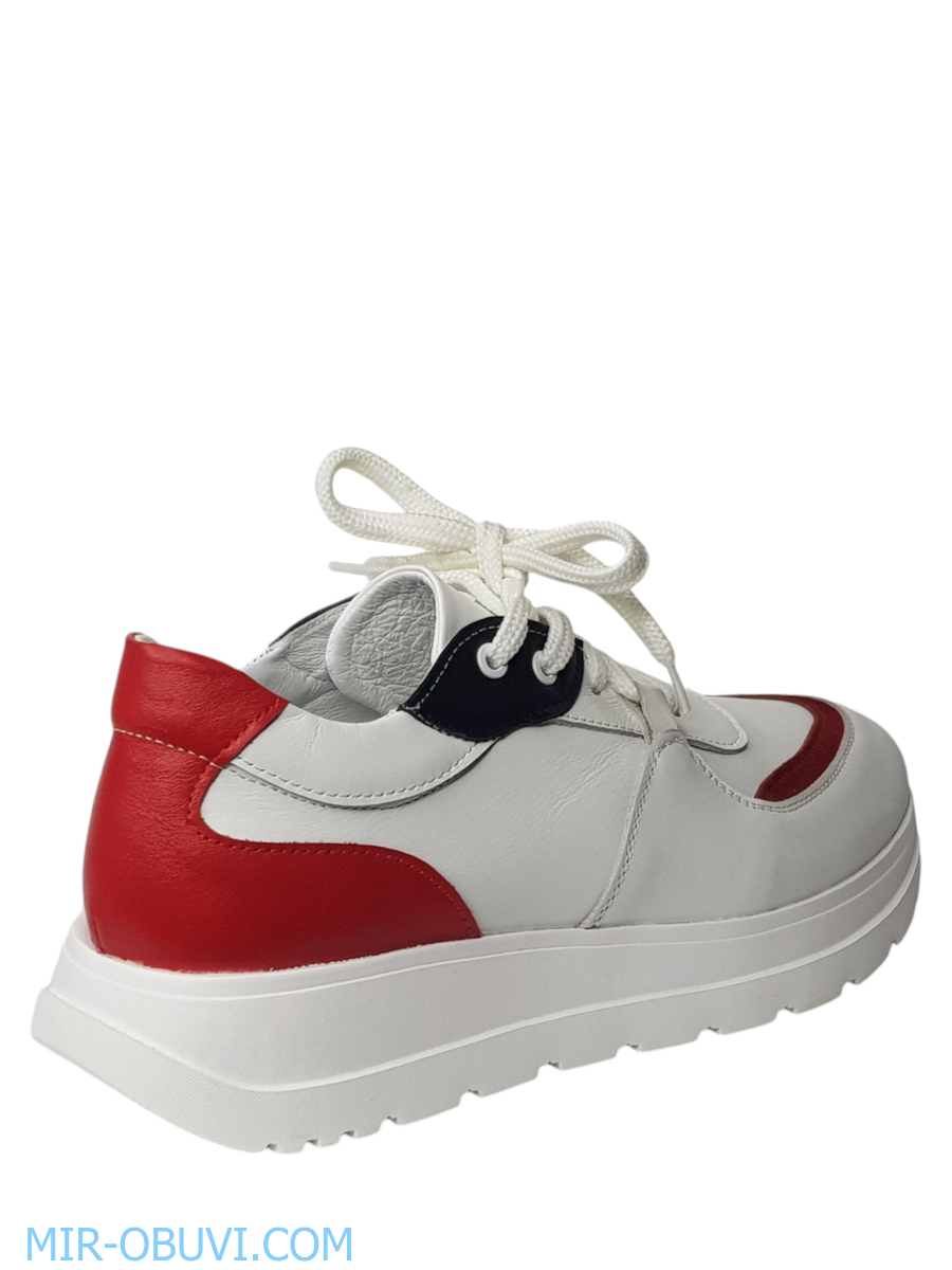 Ƴ���� ���������� ���� Larsena. ��� 4.