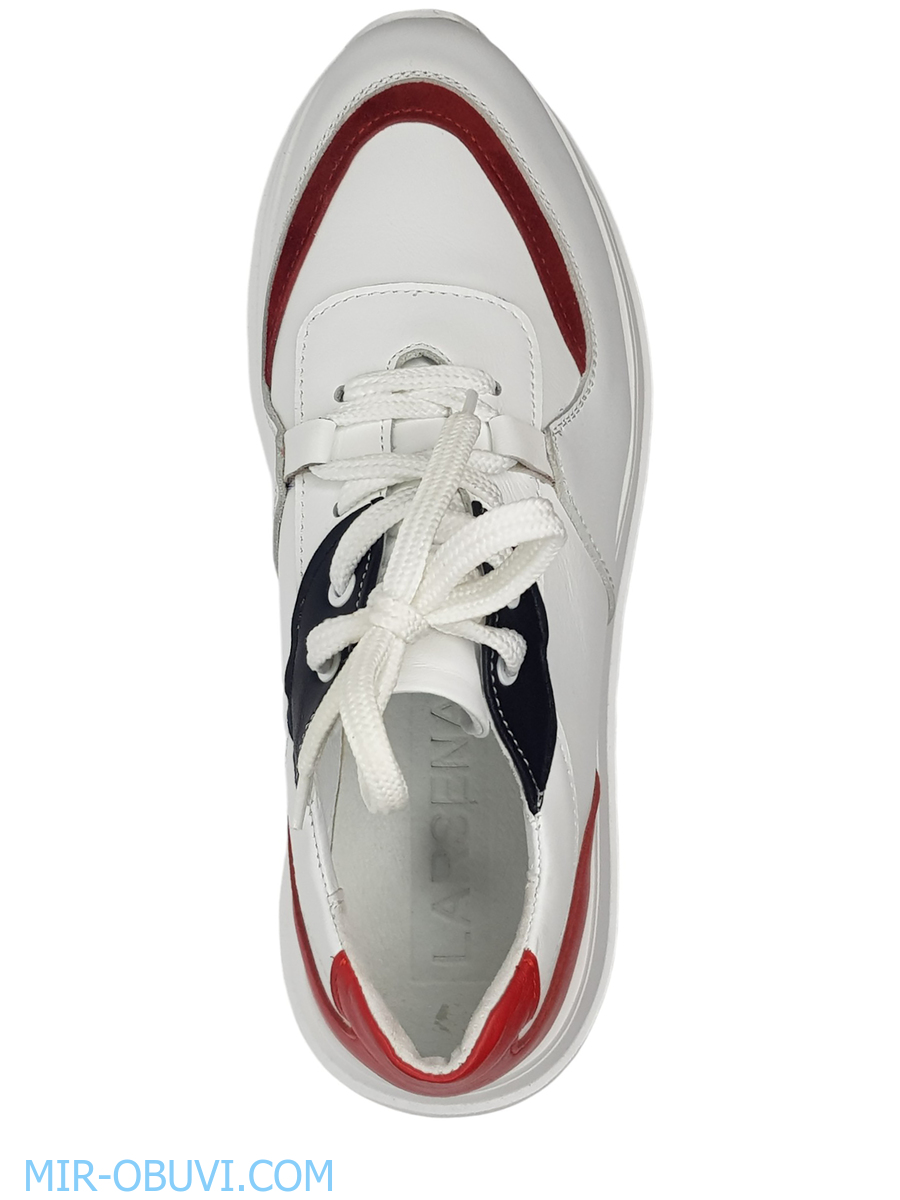 Ƴ���� ���������� ���� Larsena. ��� 9.