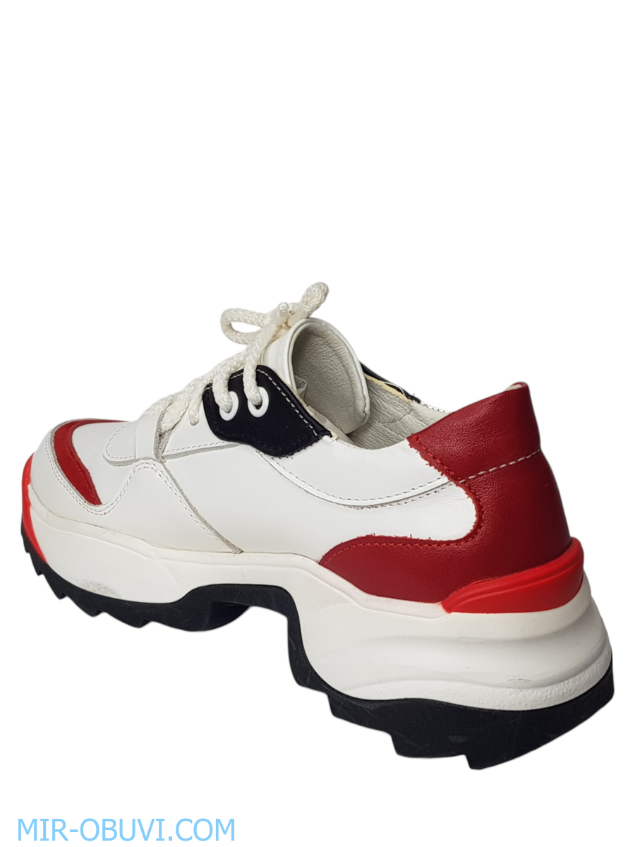 Ƴ���� ���������� ���� Larsena. ��� 5.