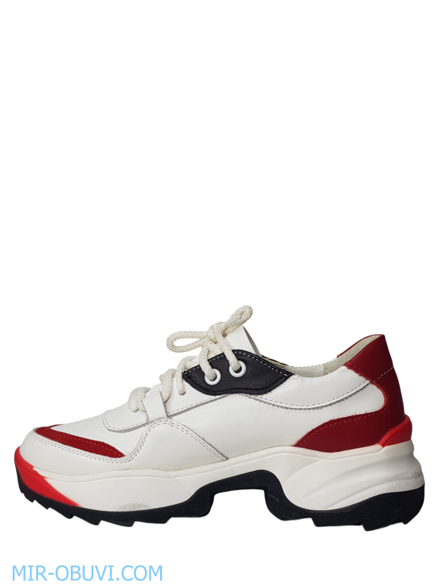 Ƴ���� ���������� ���� Larsena. ��� 6.