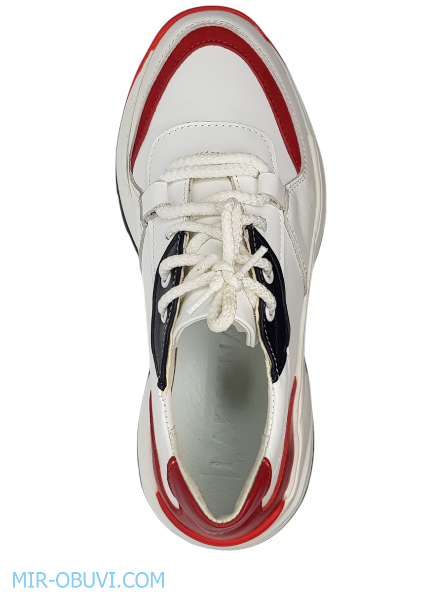 Ƴ���� ���������� ���� Larsena. ��� 9.