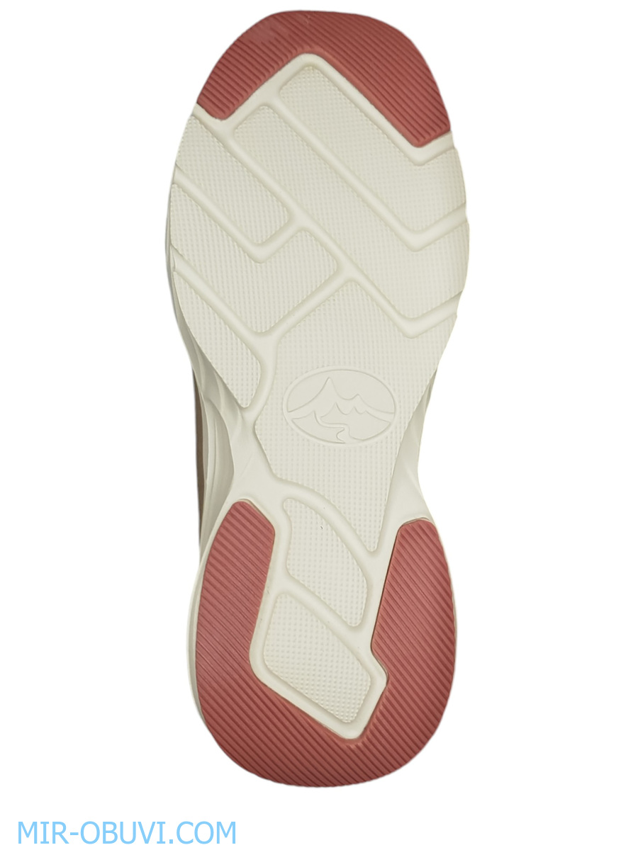 Ƴ���� ���������� ������� Grunberg. ��� 5.