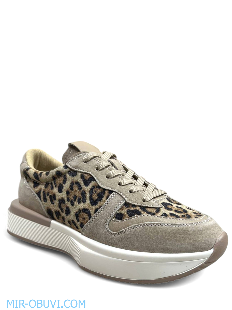 Ƴ���� ���������� ������� Wollen. ��� 1.