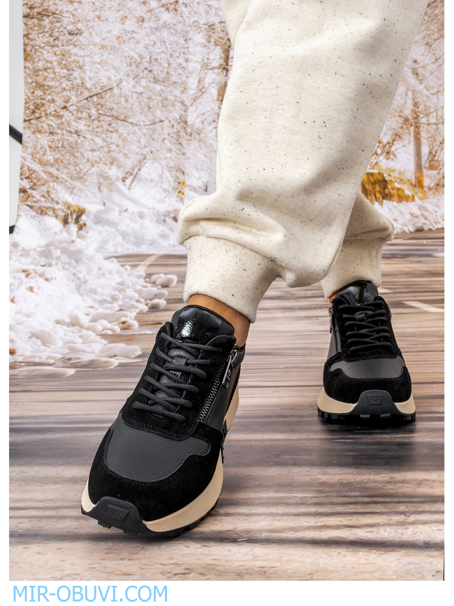 Ƴ���� ���������� ������� Wollen. ��� 19.