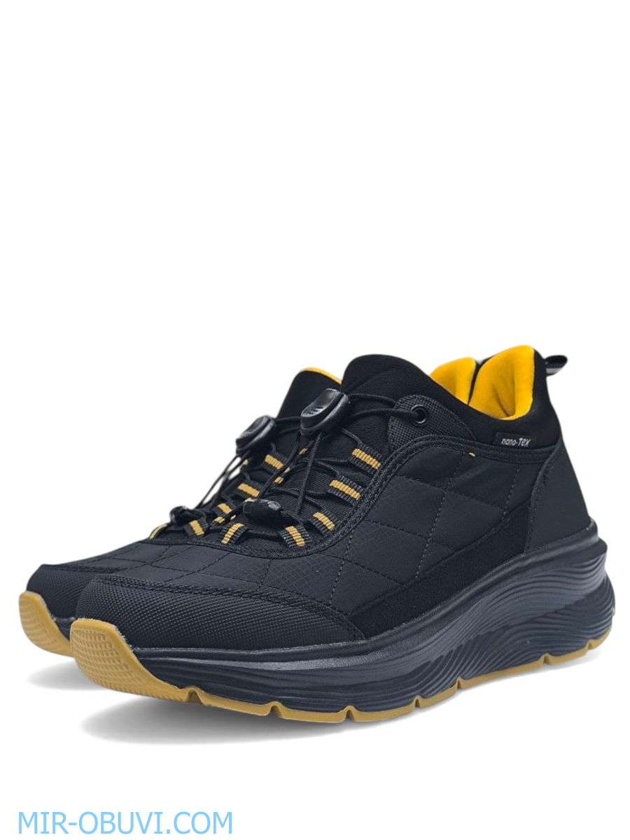 Ƴ���� ���������� ������� Grunberg. ��� 4.